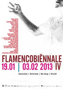 flamenco biënnale nl 2013 helma_timmermans_graphic_design