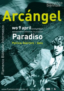 flamenco biennale_archangel paradiso helma_timmermans_graphic_design